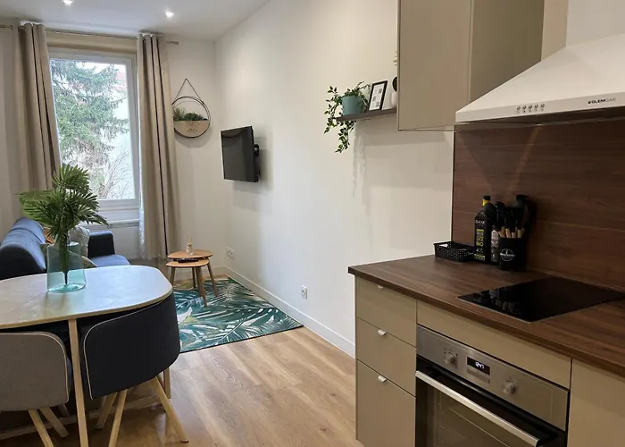 Elegant T2 A Bron, Tramway A 2Min, Box Parking, 4Personnes