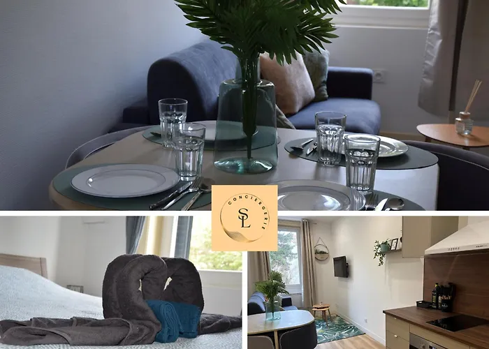 Elegant T2 A Bron, Tramway A 2Min, Box Parking, 4Personnes