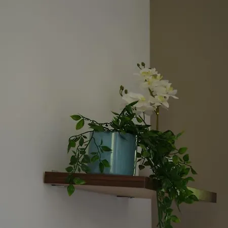 Appartement Elegant T2 A Bron, Tramway A 2Min, Box Parking, 4Personnes Extérieur photo